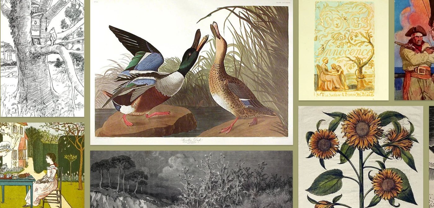 Art and collectibles