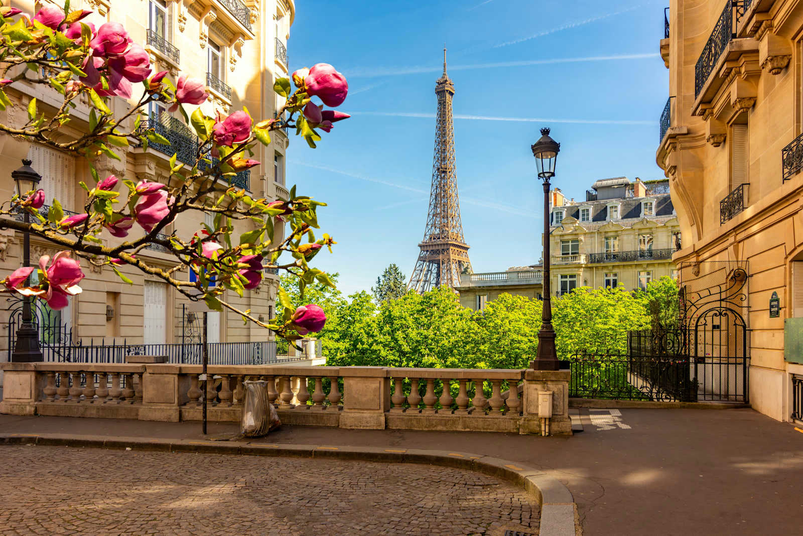Paris pass with a Museum Pass included