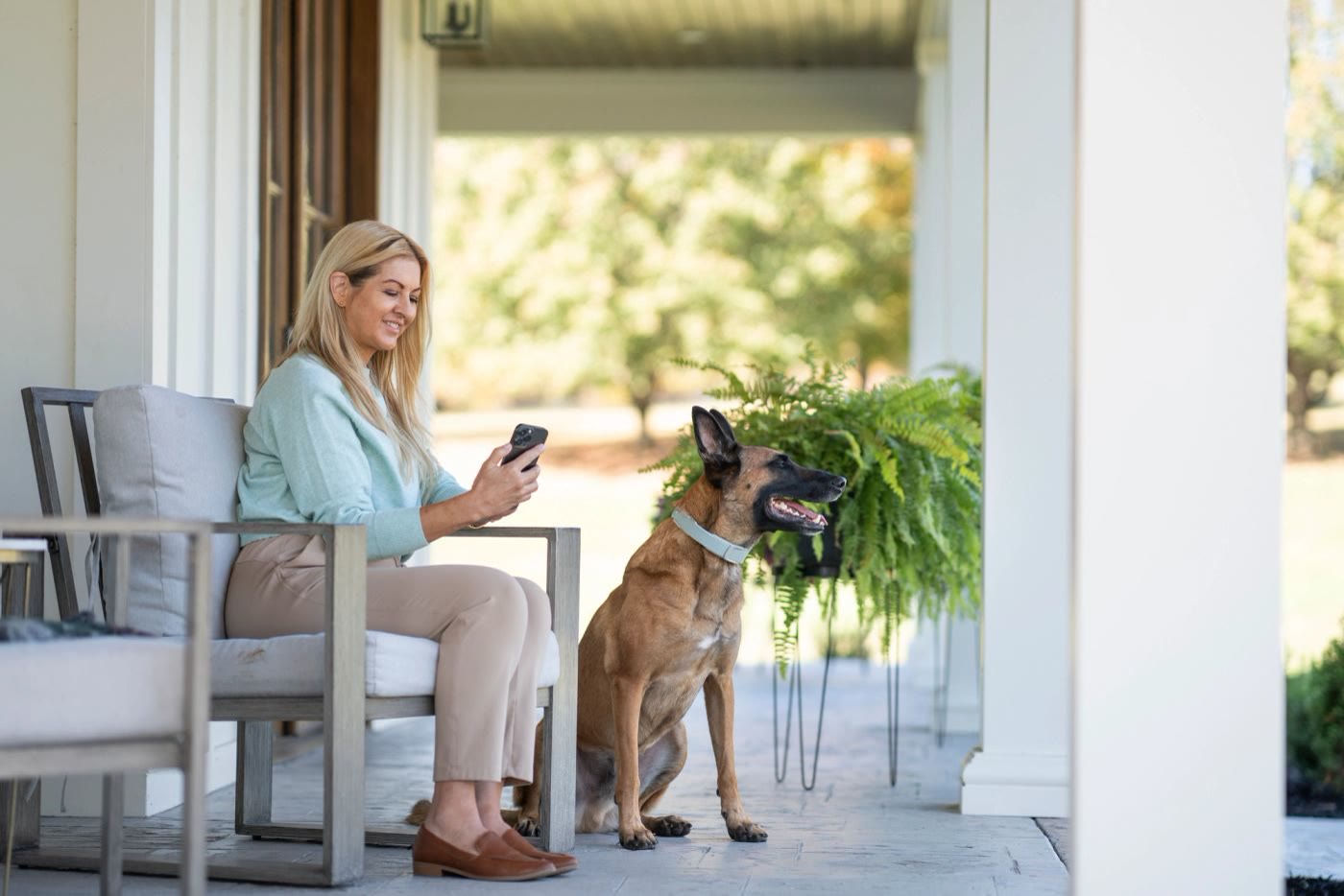 GPS collars for larger and rural lots