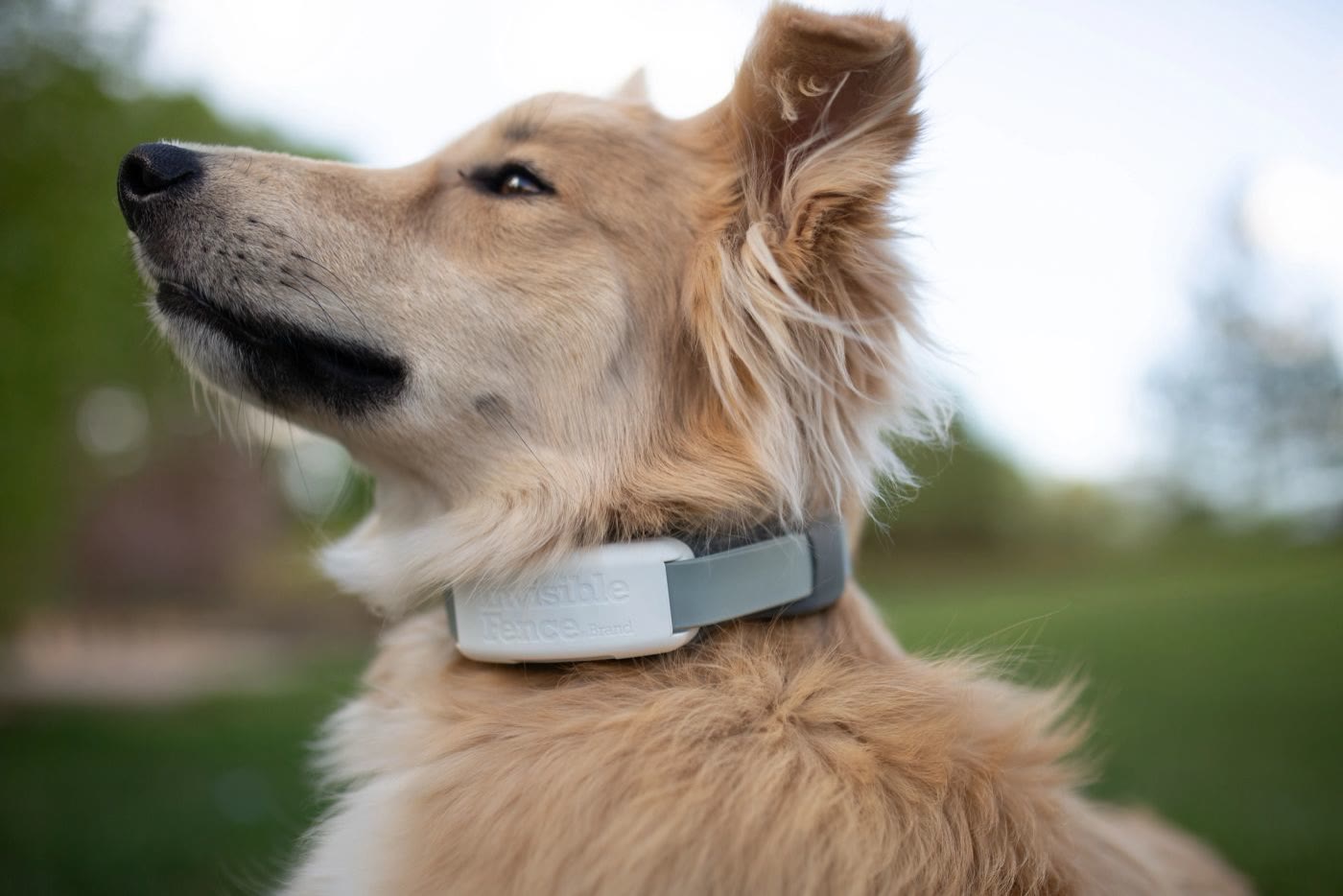Electronic pet door that opens for your pet only