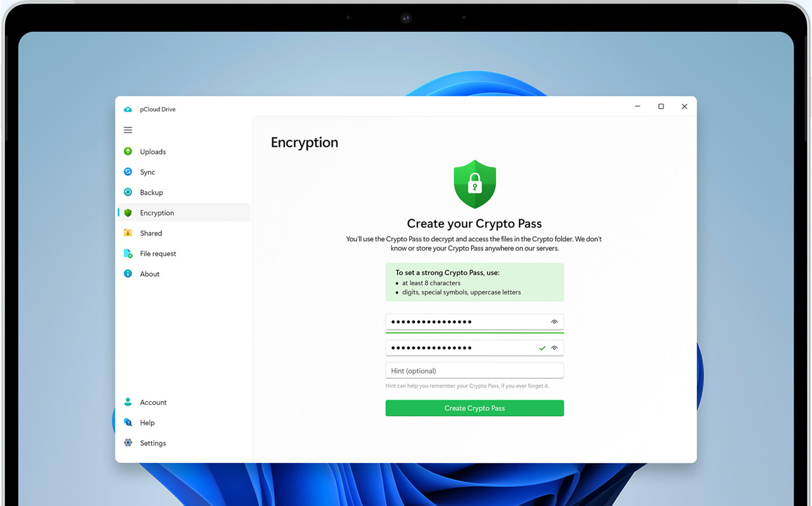 Encrypted cloud storage for private files