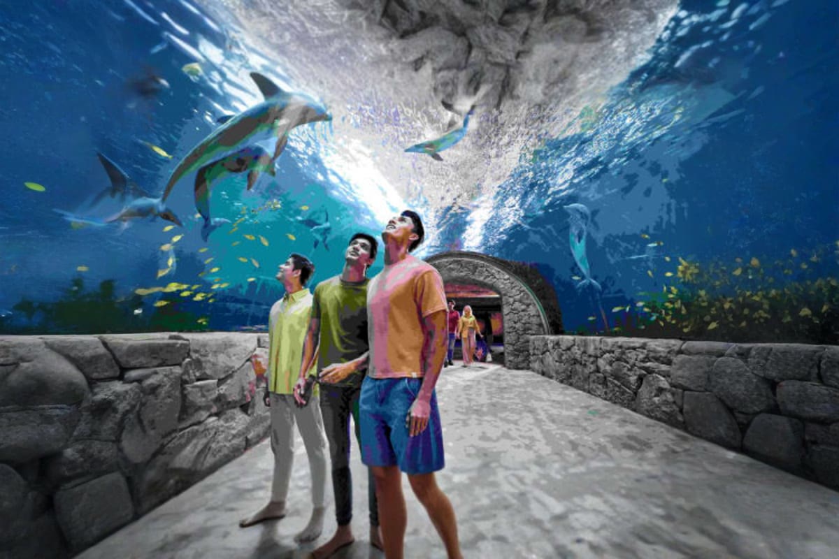 Walking the SeaWorld aquarium tunnel