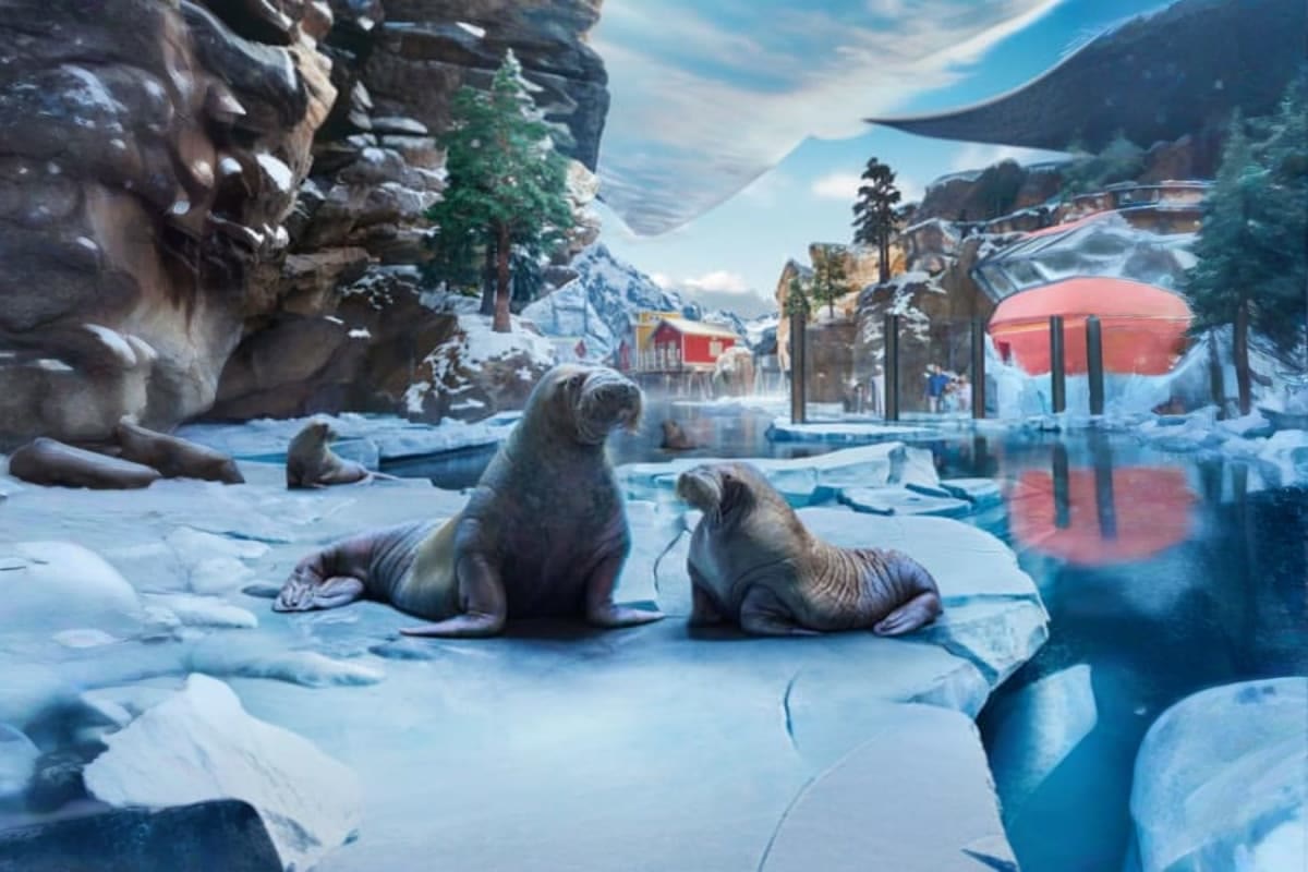 Choosing between the Yas Island theme parks