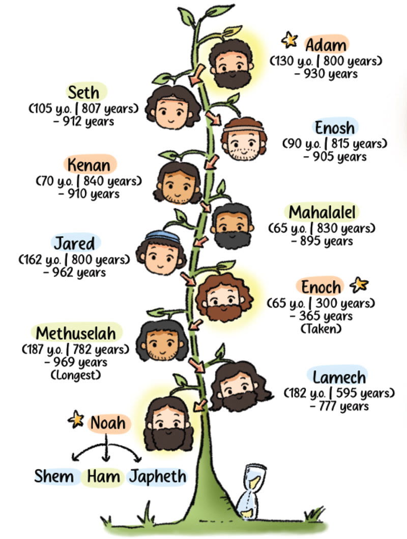 Follow Genesis with family trees, maps and timelines
