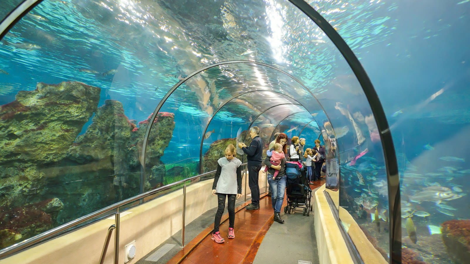 Barcelona Aquarium and the Flexi-Ticket