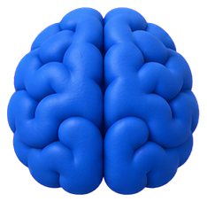 Brain