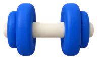 덤벨