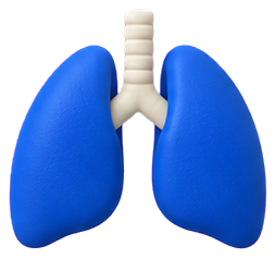 Lungs