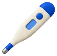 Thermometer