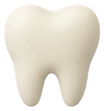 Tooth
