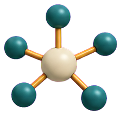 Network