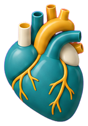 Heart