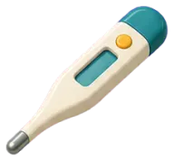 Thermometer