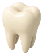 Tooth