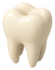 Tooth