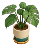Plant pot