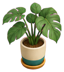 Plant pot