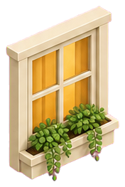 Window