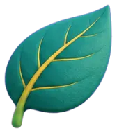 Leaf