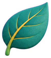 Leaf