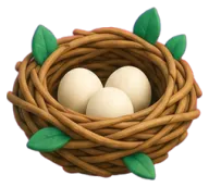 Nest
