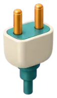 Plug
