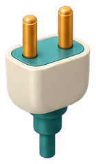 Plug