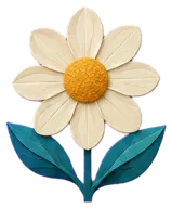꽃