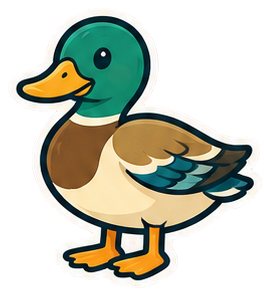 Duck