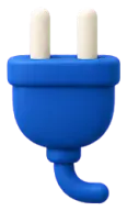 Plug
