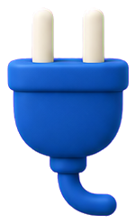 Plug