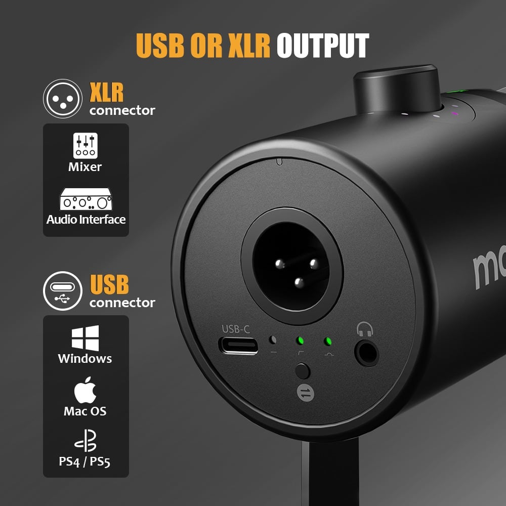 背面的 XLR 与 USB-C 接口