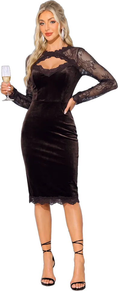 Lace sleeve velvet bodycon midi dress