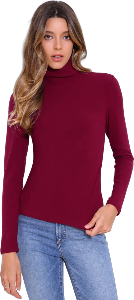 Mock neck fitted pullover knit top