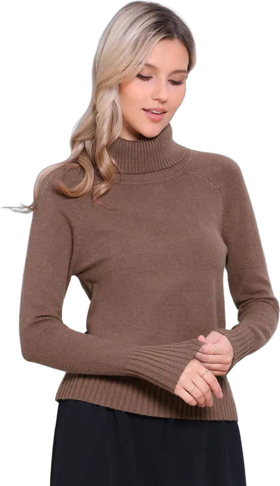 Turtleneck ribbed knit pullover