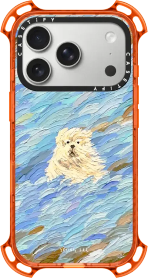 Flow no.12 Funda Bounce