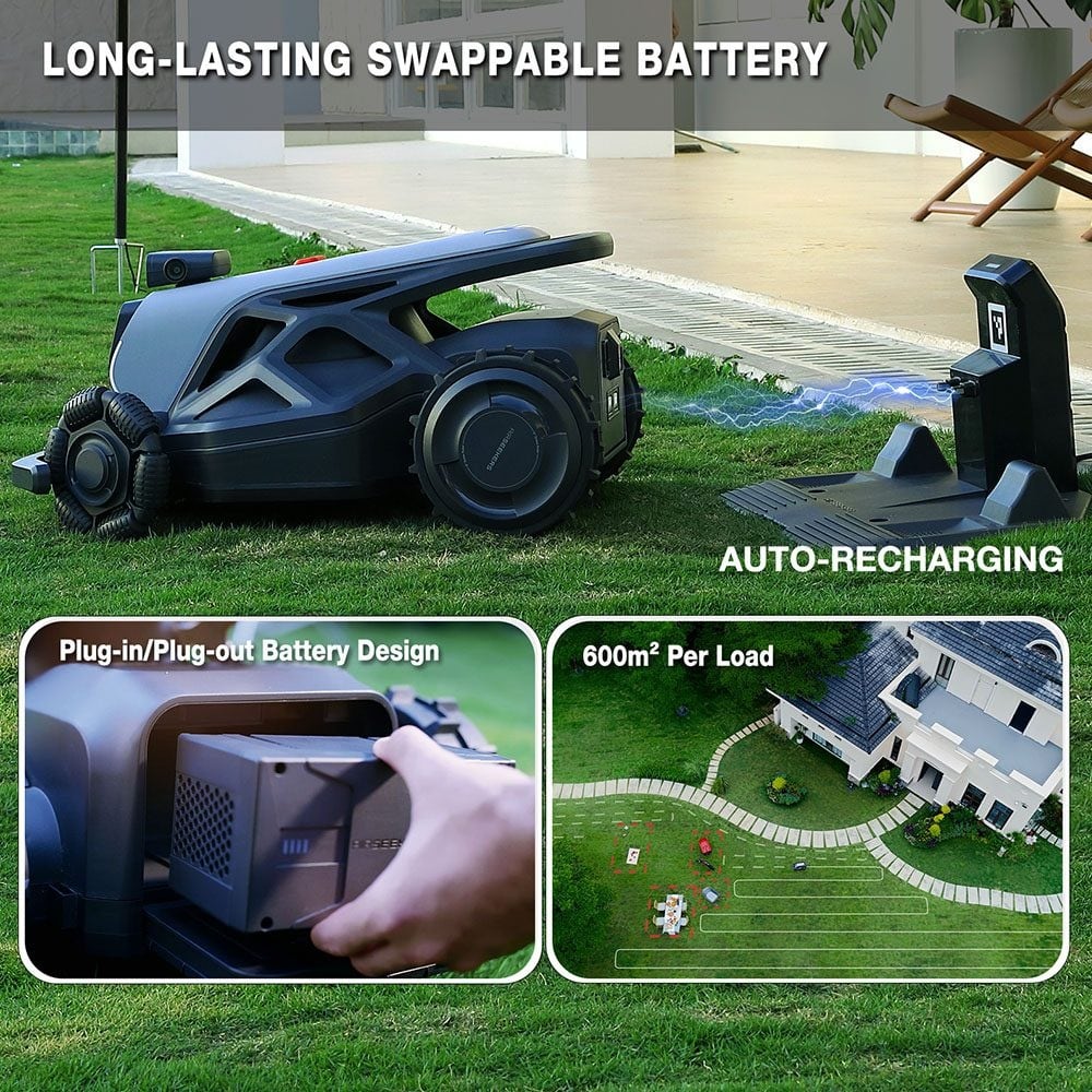 Charging station and swappable battery
