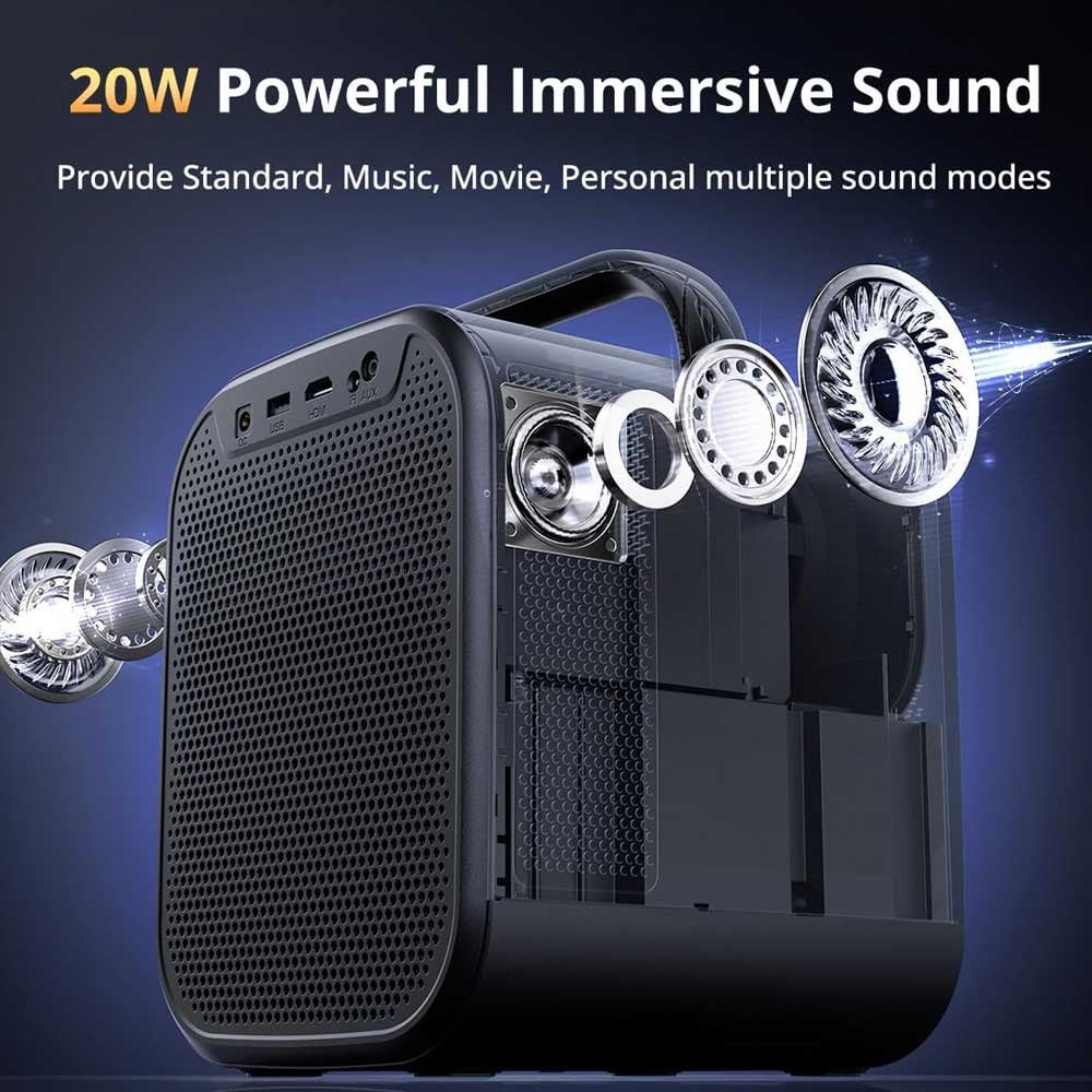 The 20 W speaker system