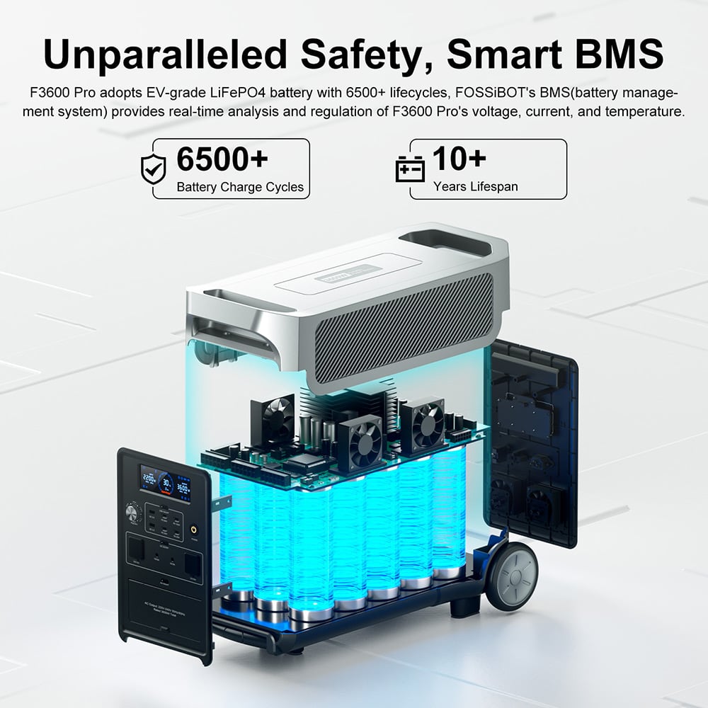 LiFePO4 cells and BMS protection