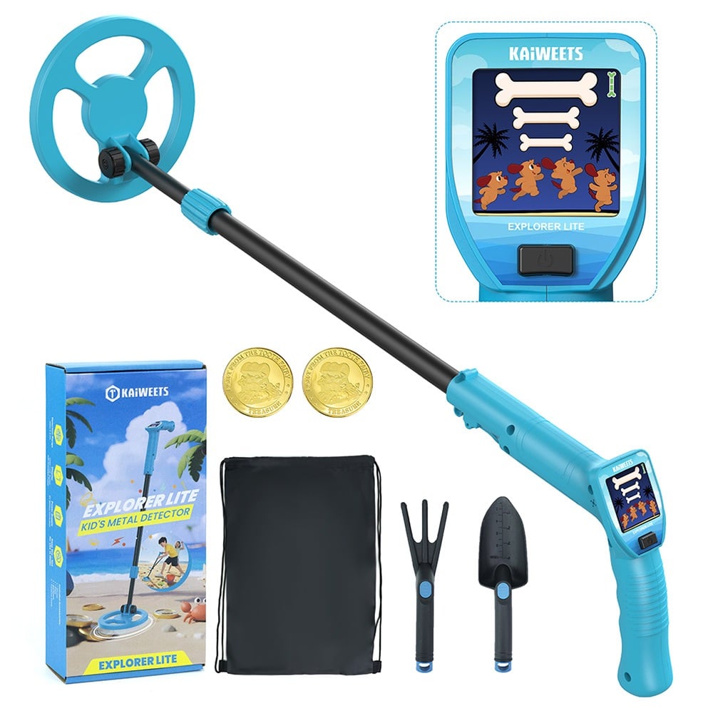 The set with rake, shovel, backpack and coins