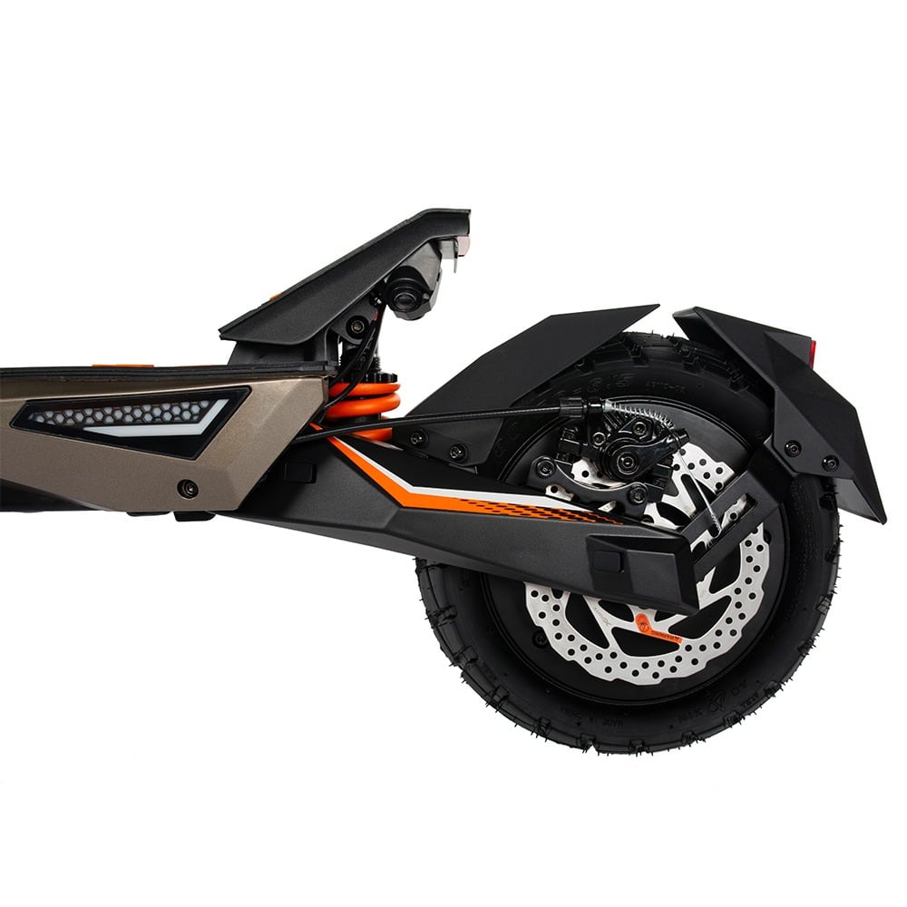 Rear disc brake and spring suspension