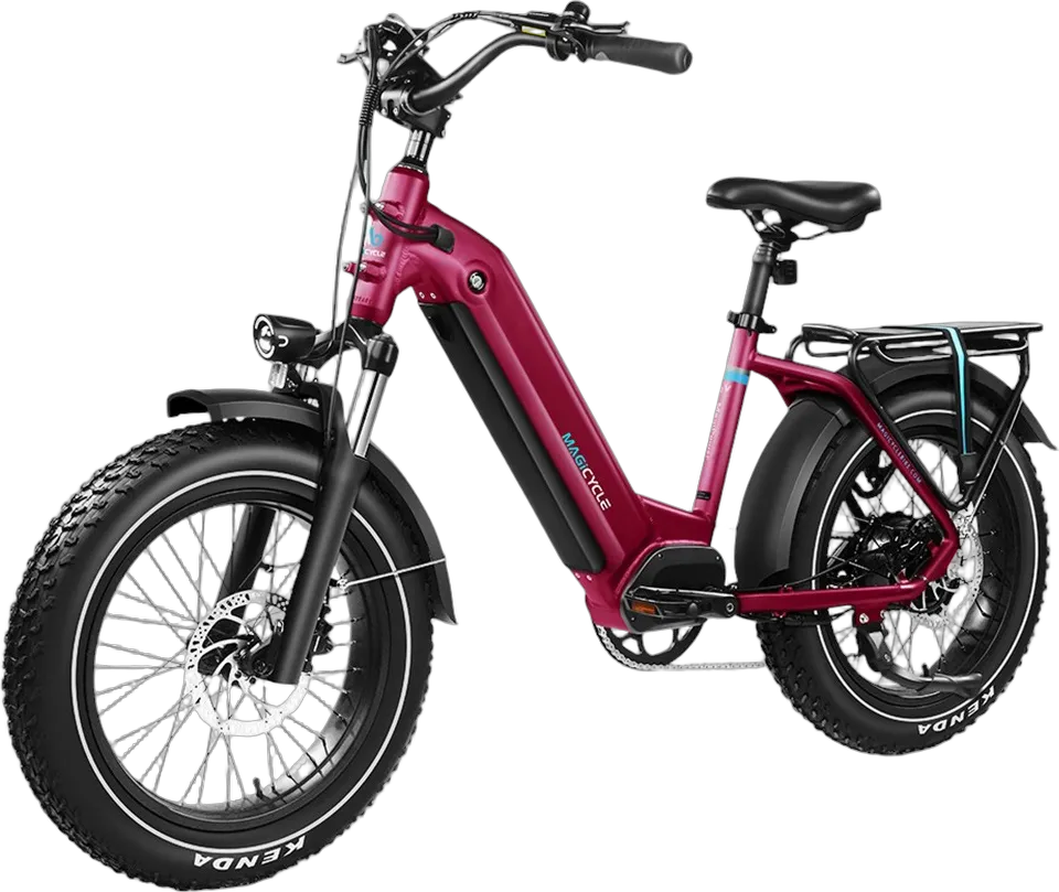 Ocelot Pro 2.0 20インチ ファットタイヤ電動自転車
