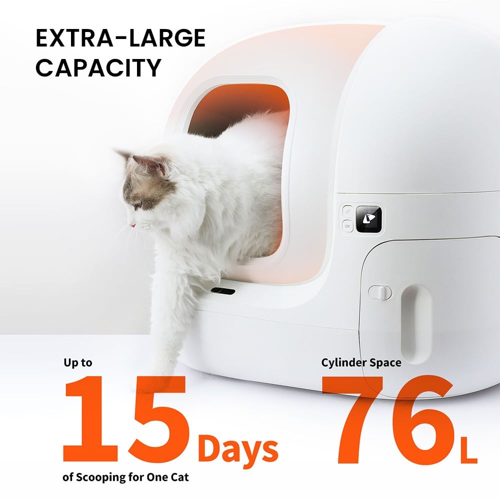 猫咪走进 76L 内部空间