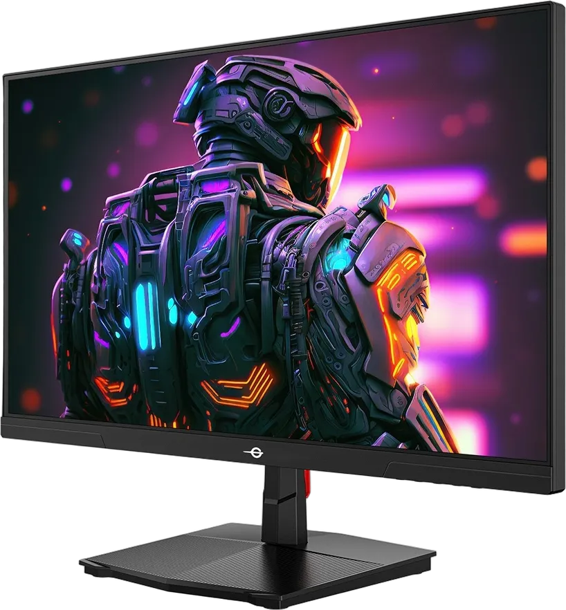 P2510HS 24.5" 300 Hz Fast IPS Gaming Monitor