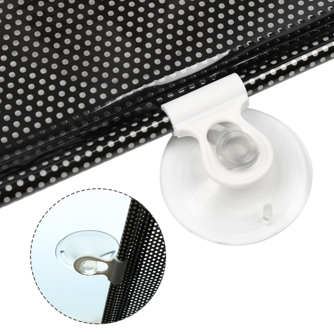Suction cup close-up