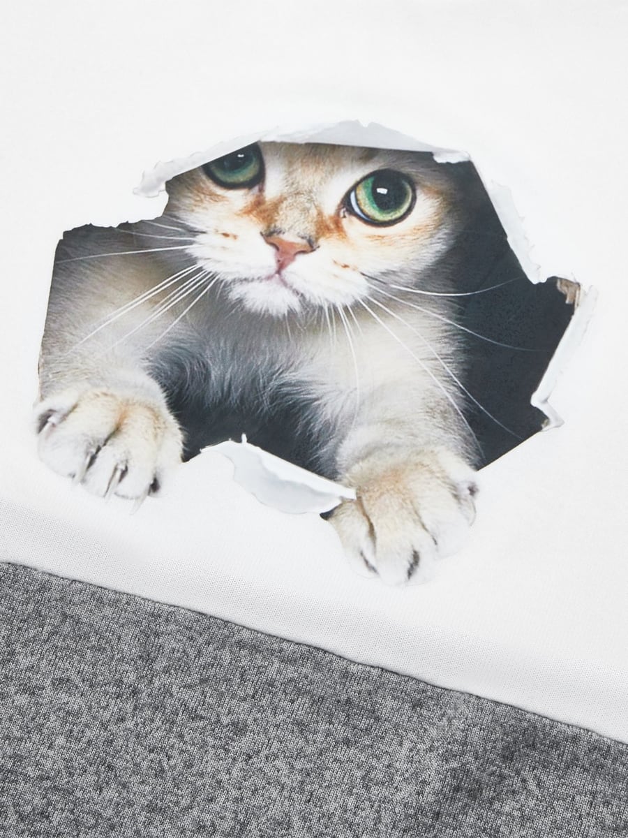 Detalle del gato