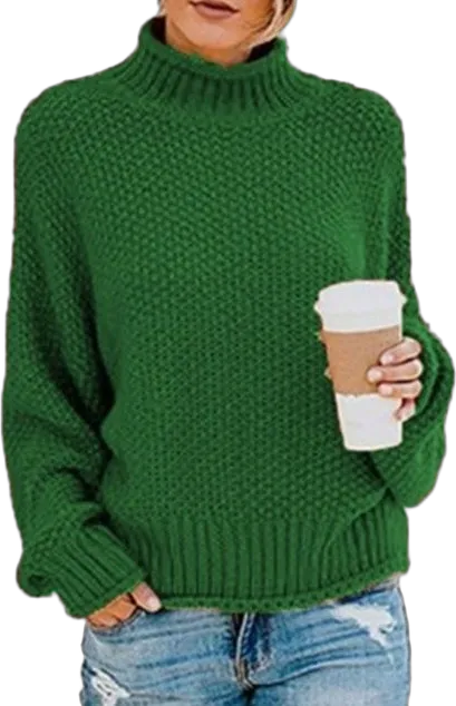 Chunky-knit turtleneck sweater