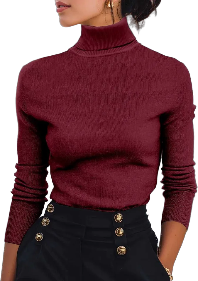 Slim ribbed turtleneck