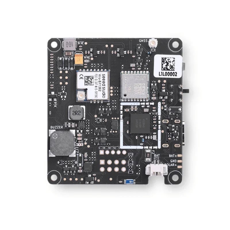 The back with its chips