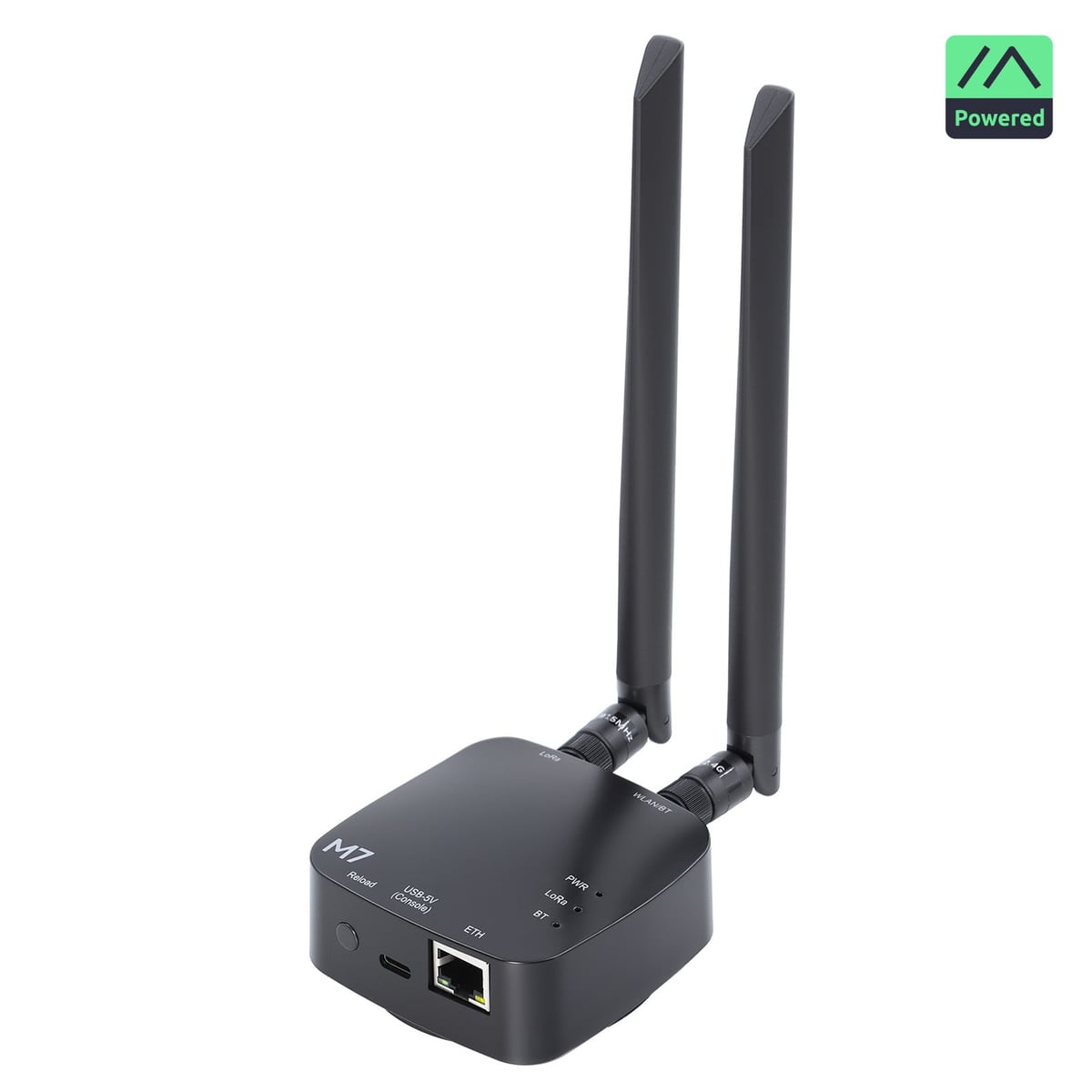 The unit with its two antennas